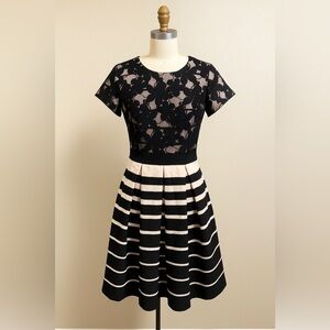 Parisian Chic Floral Lace A-Line Dress Black and Blush light pink Striped Dress